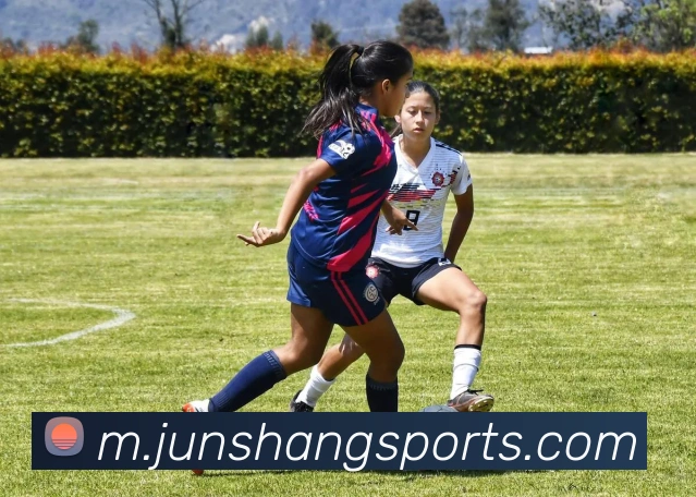 体育下注平台生态图